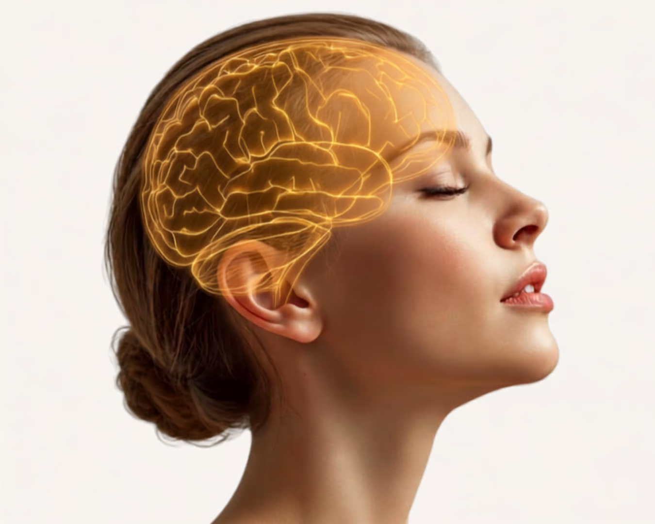 Illustration of cognitive activity